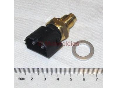 Tempmätare vatten (utan kabel)